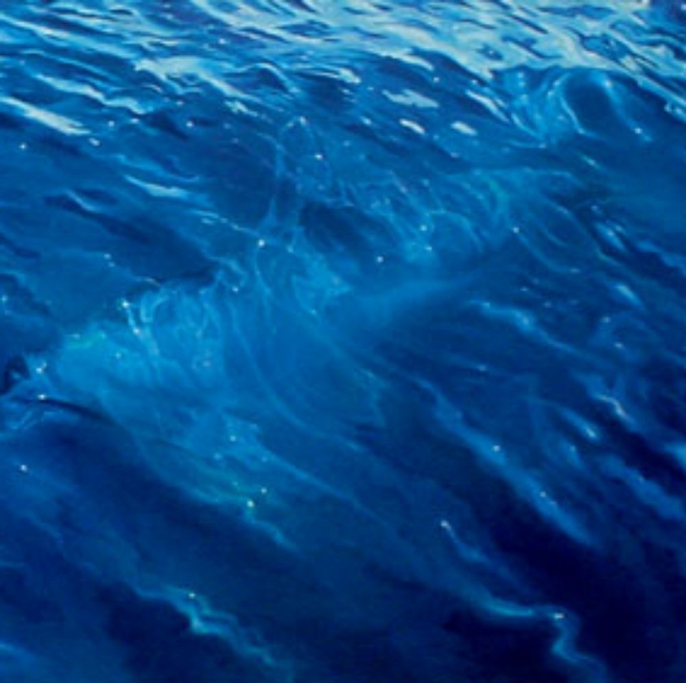 Twin Dolphins 20 Limited Edition Lithographs